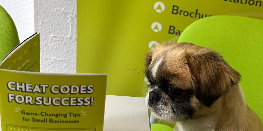 A cute dog reading a booklet about DIY Branding Tips