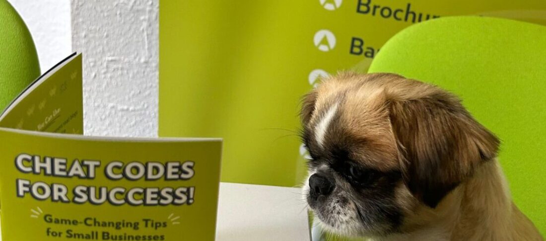 A cute dog reading a booklet about DIY Branding Tips