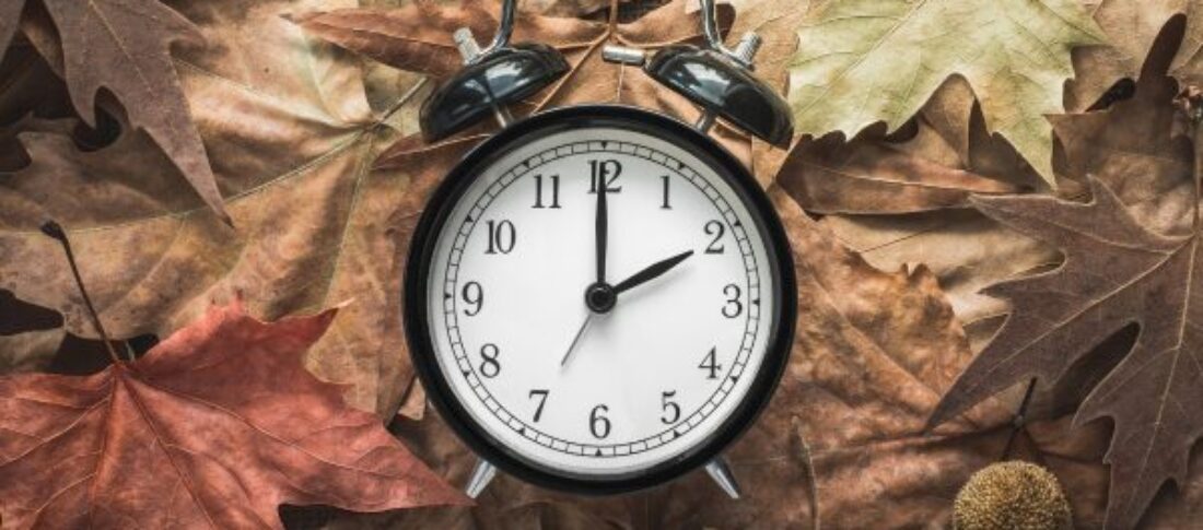 autumn leaves with a clock on top of them to accompany a blog about autumn being the perfect time for a brand refresh